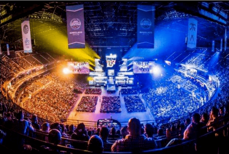 网男单正赛 网男单正赛