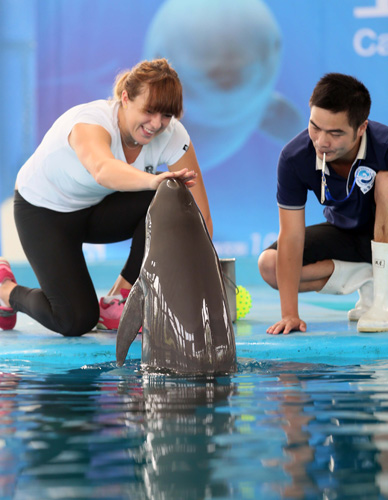 与训练范式 与训练范式